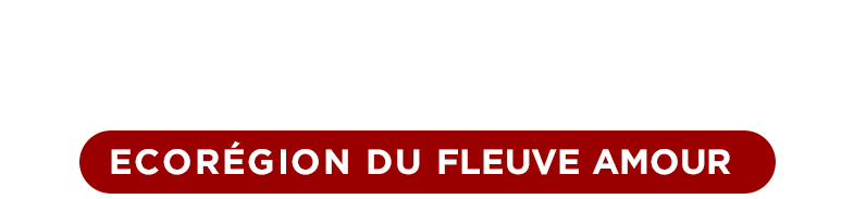 Terra d'Extrems - Ecoregió del Riu Amur