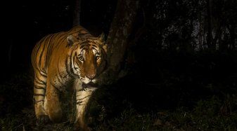 Visites Nocturnes - Unusual experiences in Ecozonia