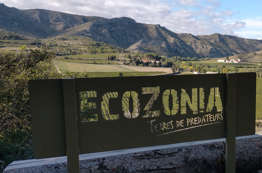 Ecozonia, bien plus qu’un parc animalier à proximité de Perpignan