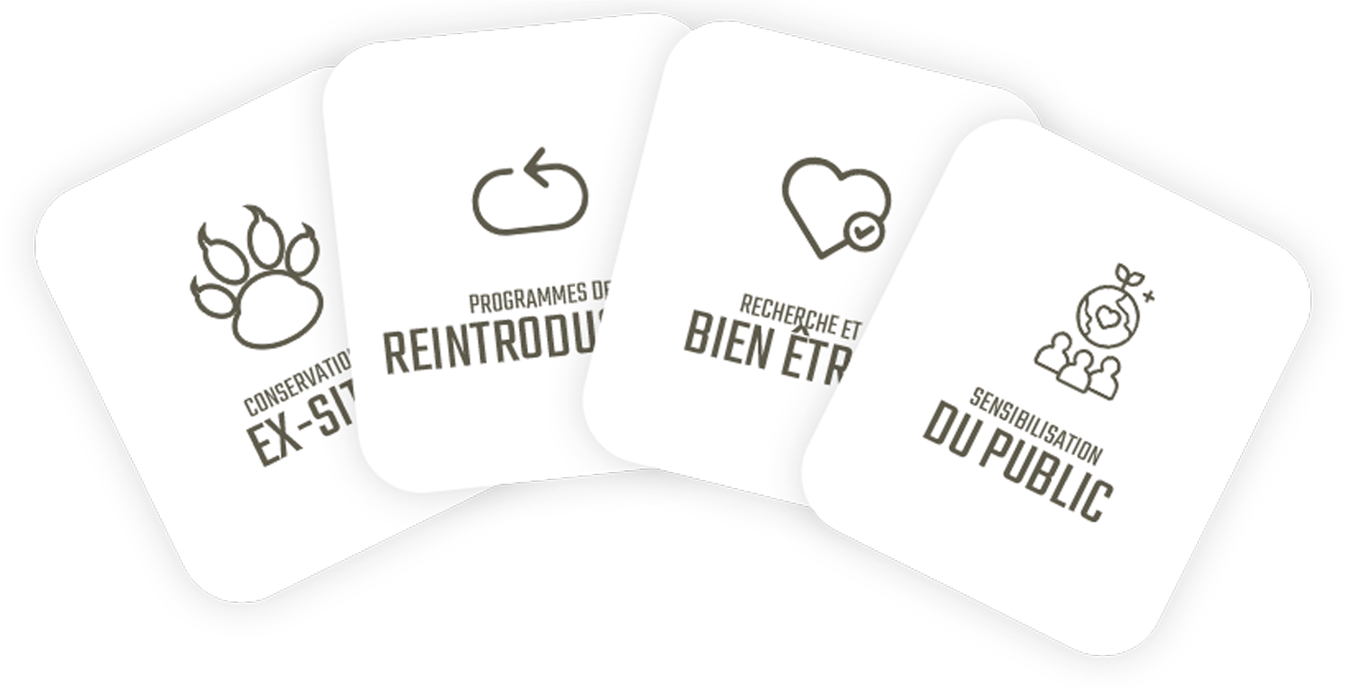 actions dédiées à la conservation à Ecozonia