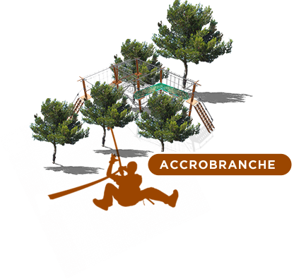 Curso de aventura en las copas de los árboles