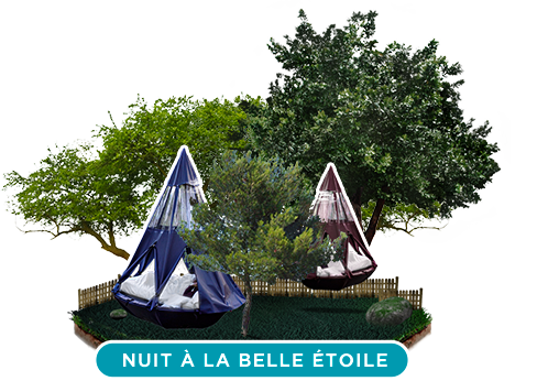 Noche bajo las estrellas