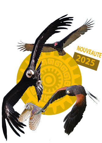 Tierra de los Incas - Ecorregión de la Cordillera de los Andes