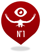 Vol de Rapace n°1<br />Rapaces du fleuve Amour