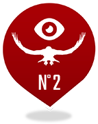 Vol de Rapace n°2<br />Rapaces du fleuve Amour