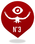 Vol de Rapace n°3<br />Faucons du fleuve Amour