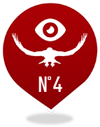 Vol de Rapace n°4<br />Chouettes du fleuve Amour