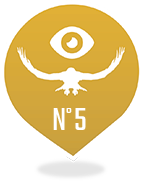 Vol de Rapace n°5<br />Rapaces de la Cordillère des Andes