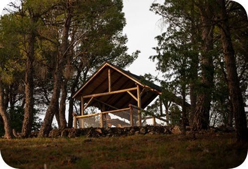 EcoZonia - 8:30 Desayuno continental