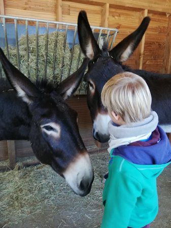 Visita entre bastidores - Experiencias inusuales en Ecozonia