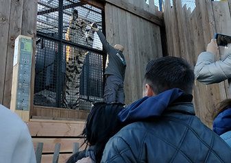 Sesión Formación médica - Experiencias inusuales en Ecozonia
