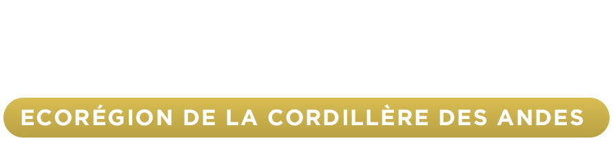 Terre des Incas - Ecorégion de la Cordillère des Andes