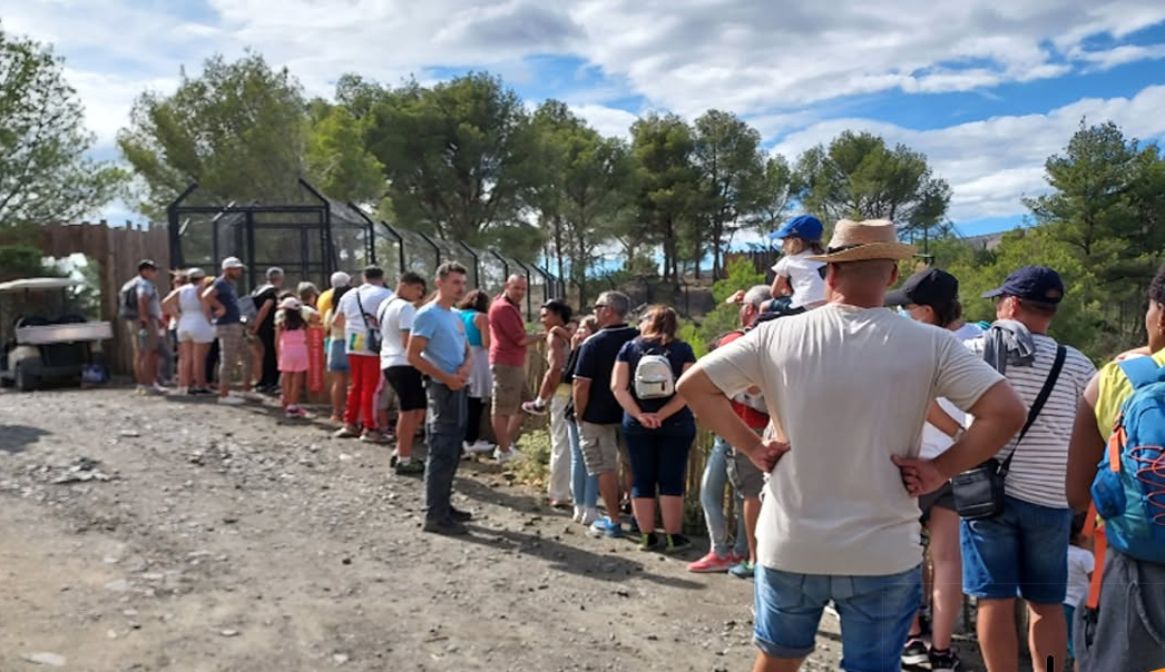 Sortie en famille au parc animalier EcoZonia près de Perpignan